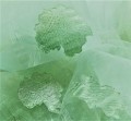 KRESZ PREMIUM ZIELEŃ 6.jpg