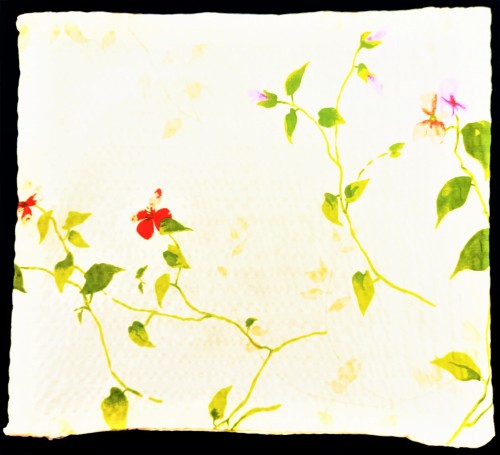 KREMOWE TŁO KWIATY DX.jpg