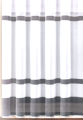 160 C BIEL B.png