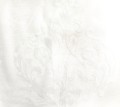 WOAL SLAKI ORNAMENTY C.jpg
