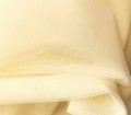 MOSKITIERA PLASTER MIODU C.jpg