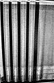 20200403_135316TTT.jpg