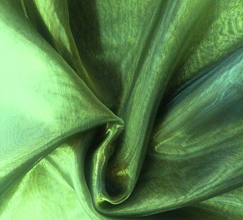 JASNA BUTELKOWA ZIELEŃ A.jpg