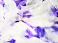 20201125_152440 NR 2.jpg