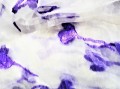 20201125_152505.jpg