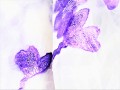 20201125_152616.jpg