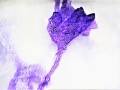 20201125_152622.jpg