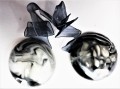 20201216_121058.jpg