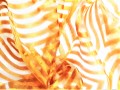 20210215_150729 AB.jpg