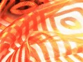 20210215_150738 A MM.jpg