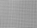 20210308_141915 a.jpg