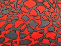 20210409_140545 AB.jpg