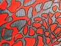 20210409_140626 AB.jpg