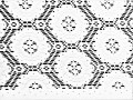 20210412_115901 A.jpg