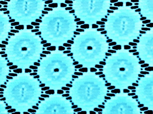 20210412_113735 A.jpg