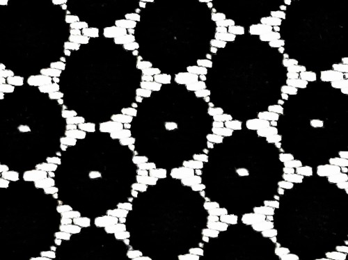 20210412_114908 AB.jpg
