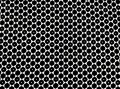 20210412_114919 A.jpg