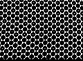 20210412_115018 A.jpg