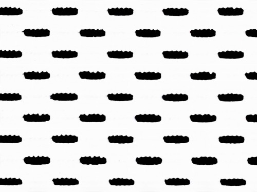 20210412_115615 AB.jpg