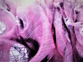 20210423_160415 AB.jpg