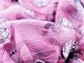 20210423_160450 AB.jpg