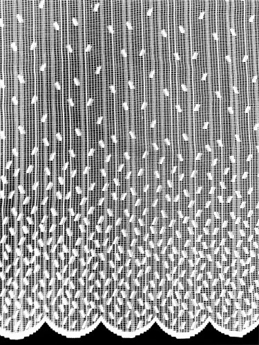 20210709_144328 A.jpg