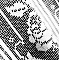 20210520_102700 A.jpg