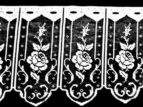 20211210_152120 BNA.jpg