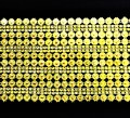 1669286865019 A2.jpg