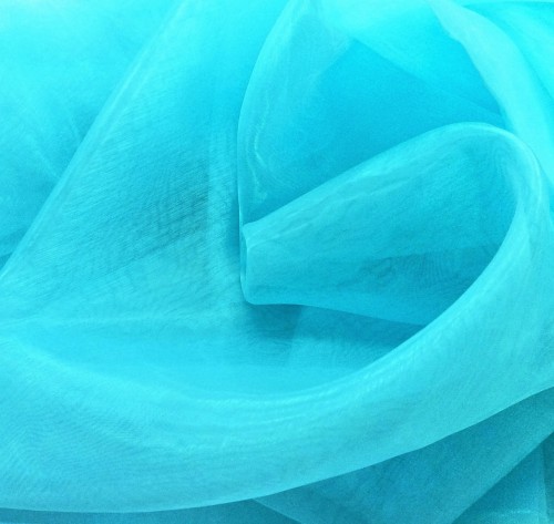 organtyna niebieska 5.jpg