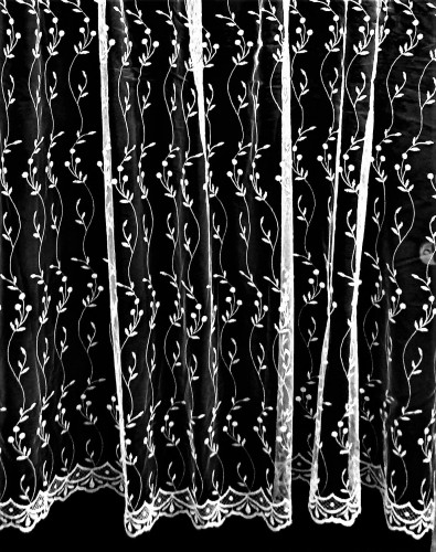 kropki i łodyzki G.jpg