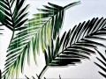 20200715_094844.jpg
